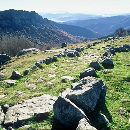 Apartment Wellstay *