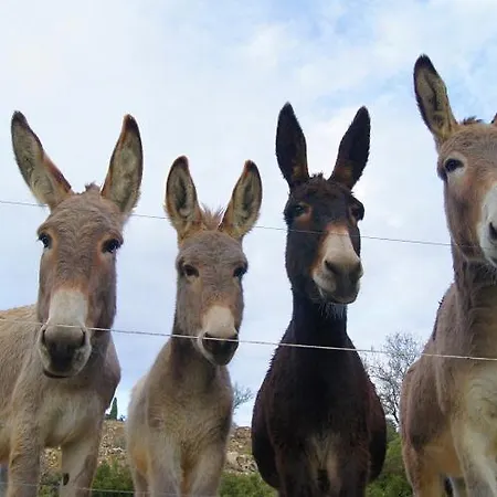 Apartment Wellstay Montpezat (Gard)